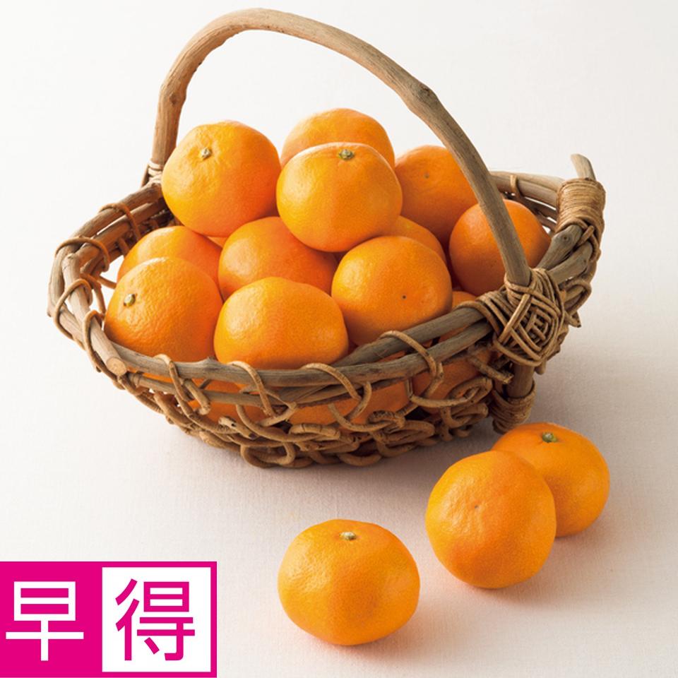【お歳暮 ギフト早得】静岡県産 とぴあ浜松みかん５ｋｇ 商品サムネイル