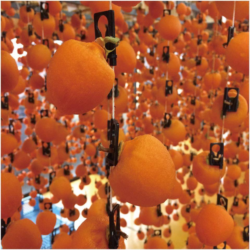 【母の日早得】長野県産干し柿「市田柿」 商品画像(3)