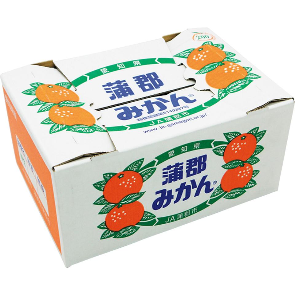 【お歳暮 ギフト】愛知県産 蒲郡みかん 優品、L又はMサイズ、計3kg以上 商品画像(1)