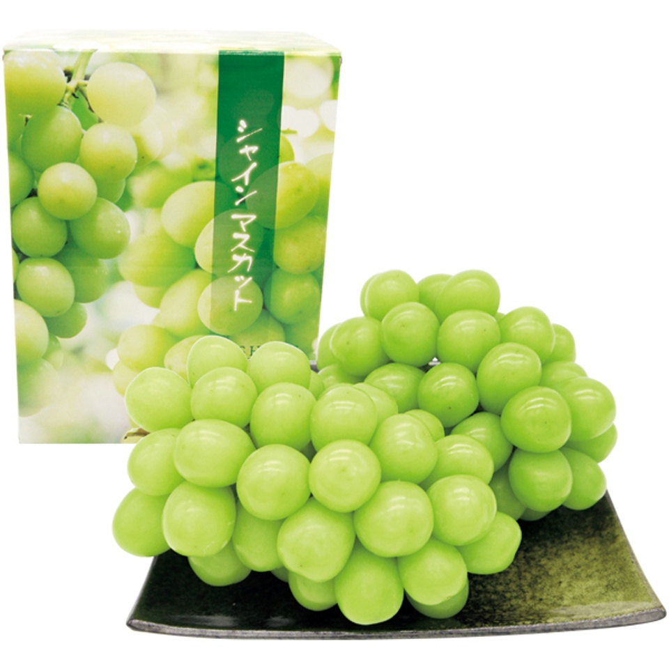 【夏の贈りもの】長野県産 信州なかの ハウスシャインマスカット 商品サムネイル