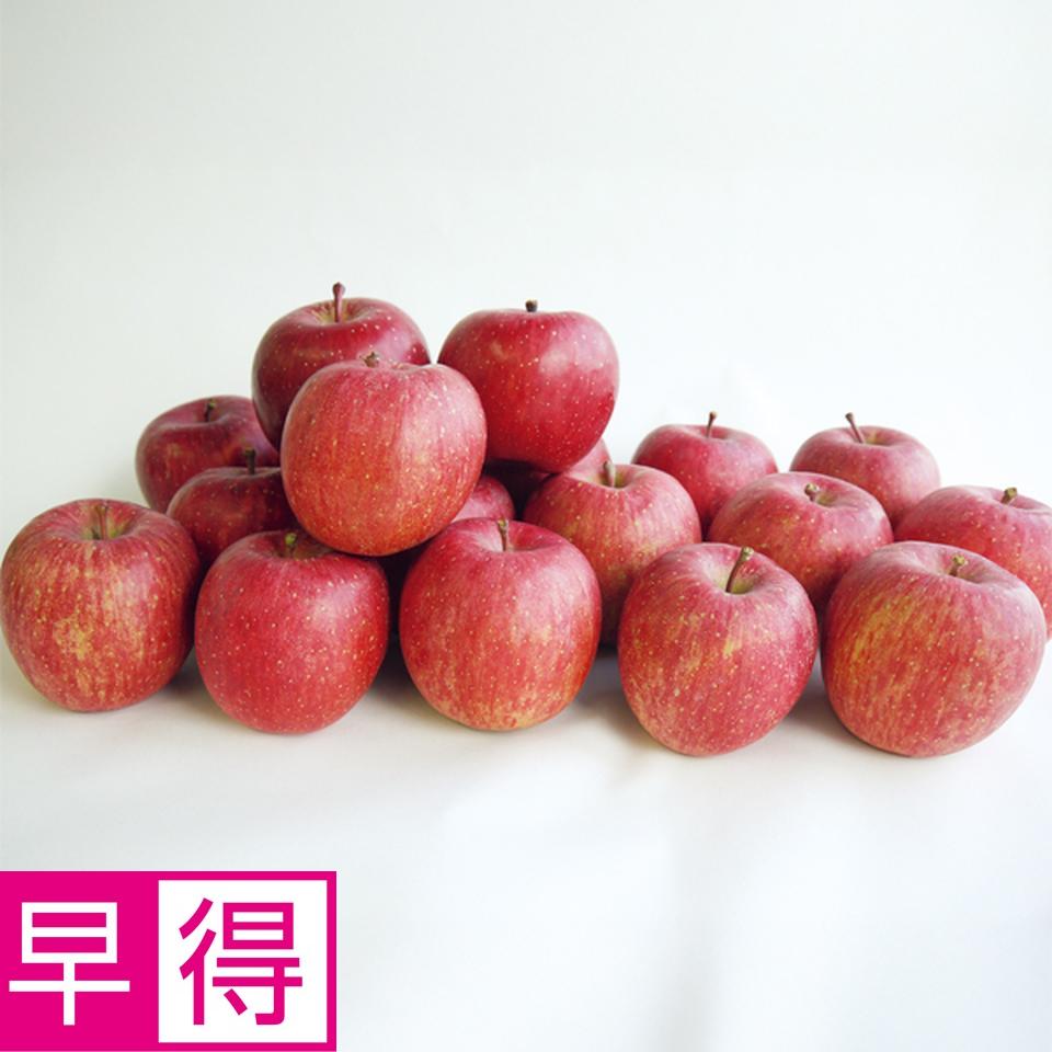 【お歳暮 ギフト早得】長野県産 志賀高原　夜間瀬のサンふじりんご 商品サムネイル