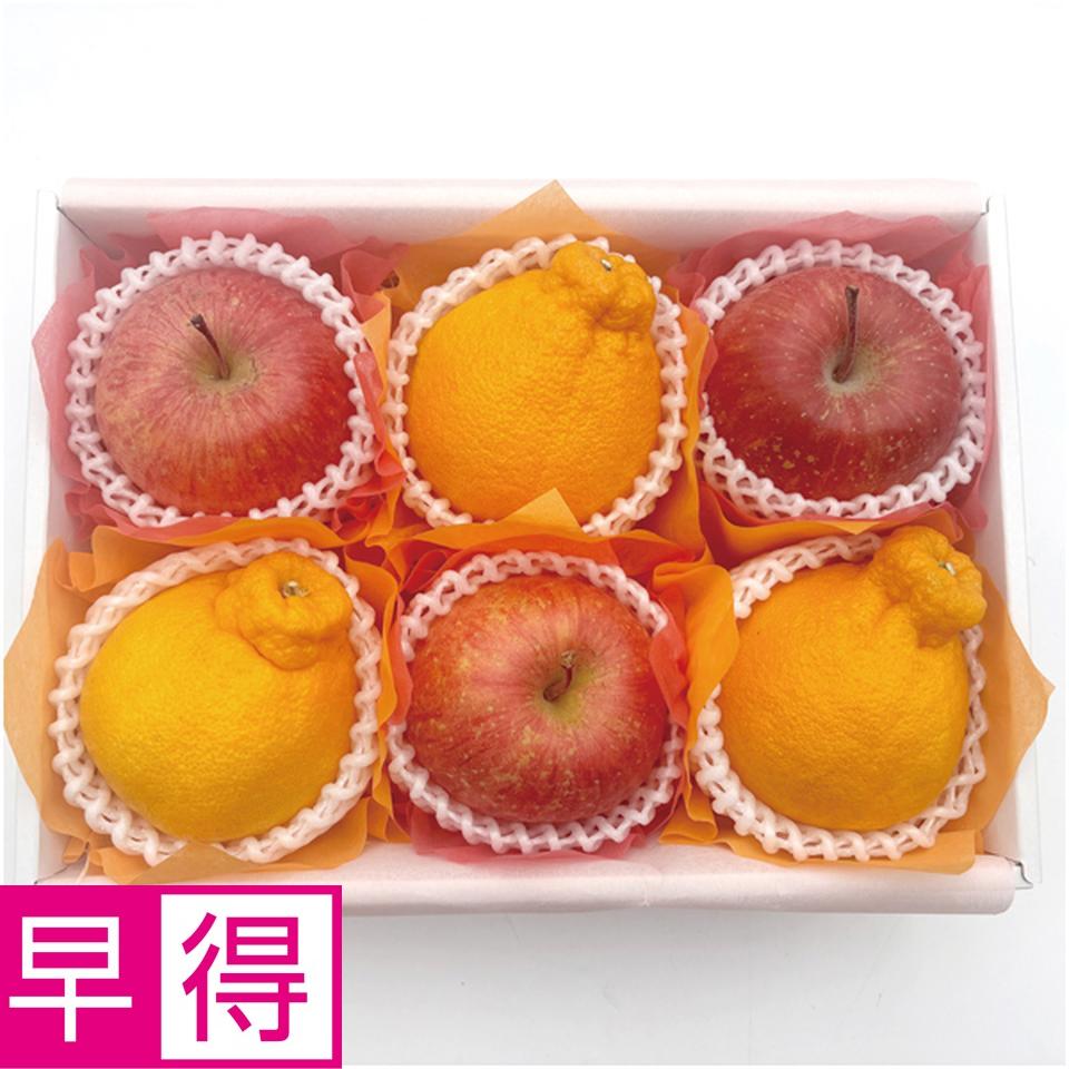 【母の日早得】青森県産・愛知県産ふじりんごとデコポンの詰合せ 商品サムネイル