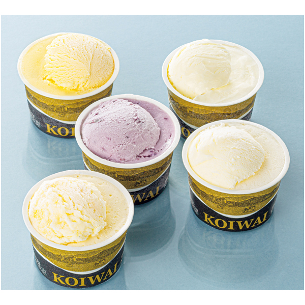 【夏ギフト】小岩井農場　自家製アイスクリーム１０個セット 商品サムネイル