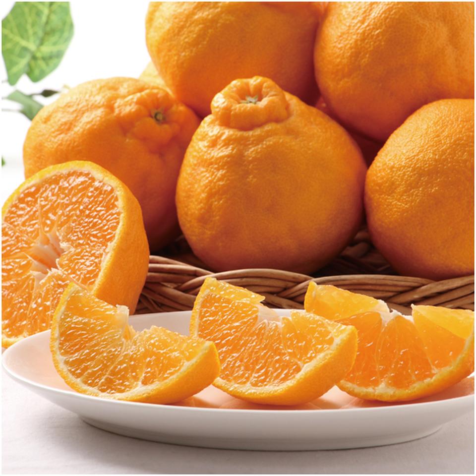 【母の日早得】熊本県産デコポン 商品画像(1)