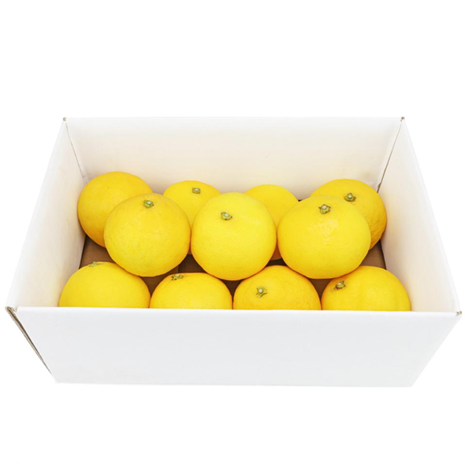 【母の日早得】高知県産小夏　２ｋｇ 商品サムネイル