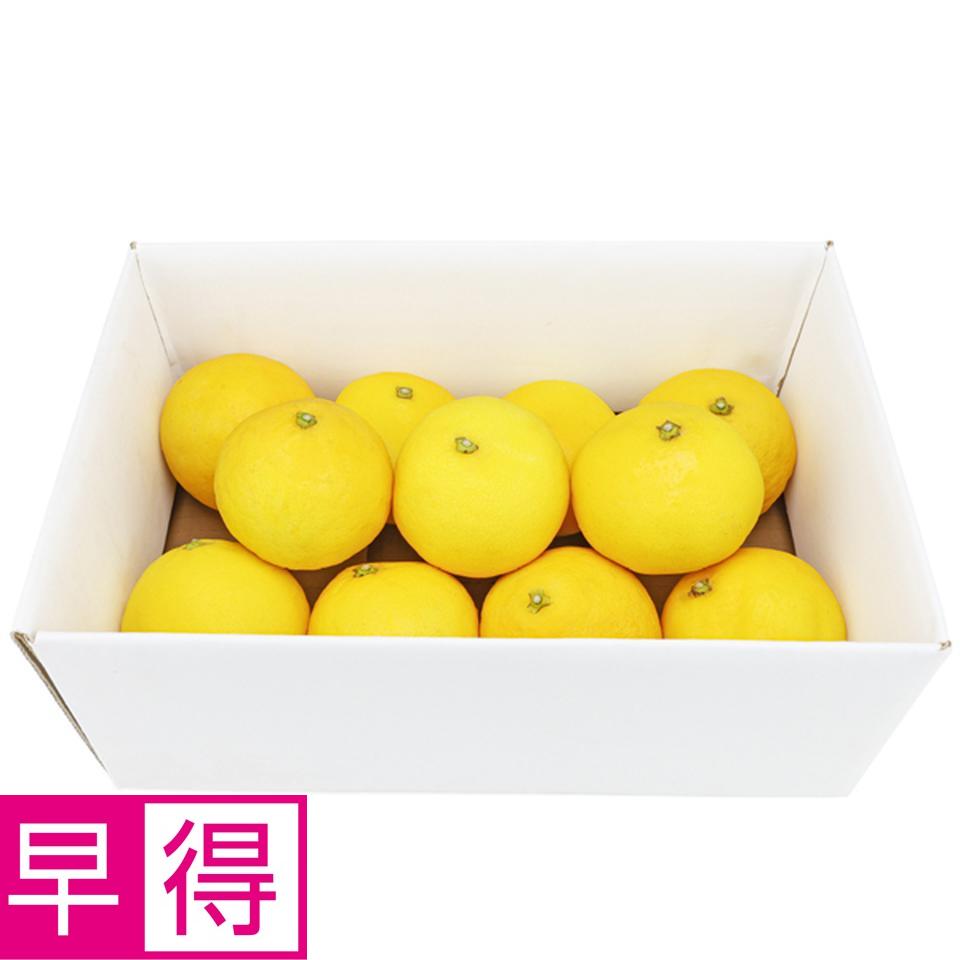 【父の日早得】高知県産小夏　２ｋｇ 商品サムネイル