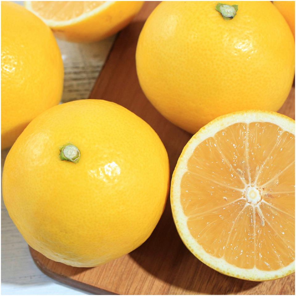 【父の日早得】高知県産小夏　２ｋｇ 商品サムネイル