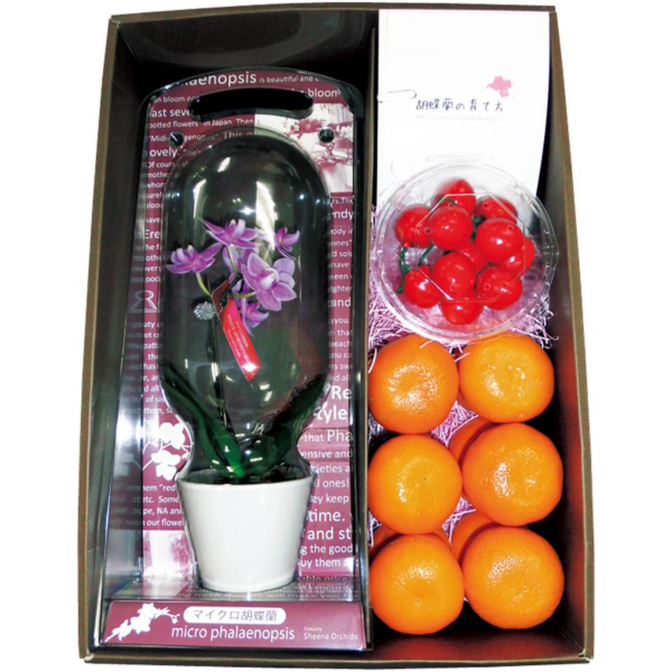 【母の日早得】マイクロ胡蝶蘭と愛媛県産カラマンダリンと山形県産さくらんぼセット 商品サムネイル
