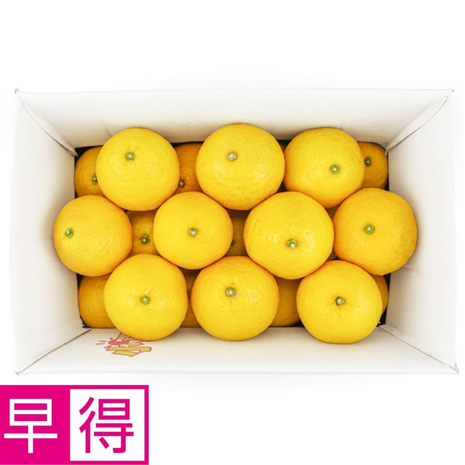 【母の日早得】高知県産小夏　５ｋｇ 商品サムネイル