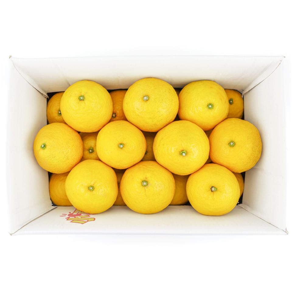 【母の日早得】高知県産小夏　５ｋｇ 商品サムネイル