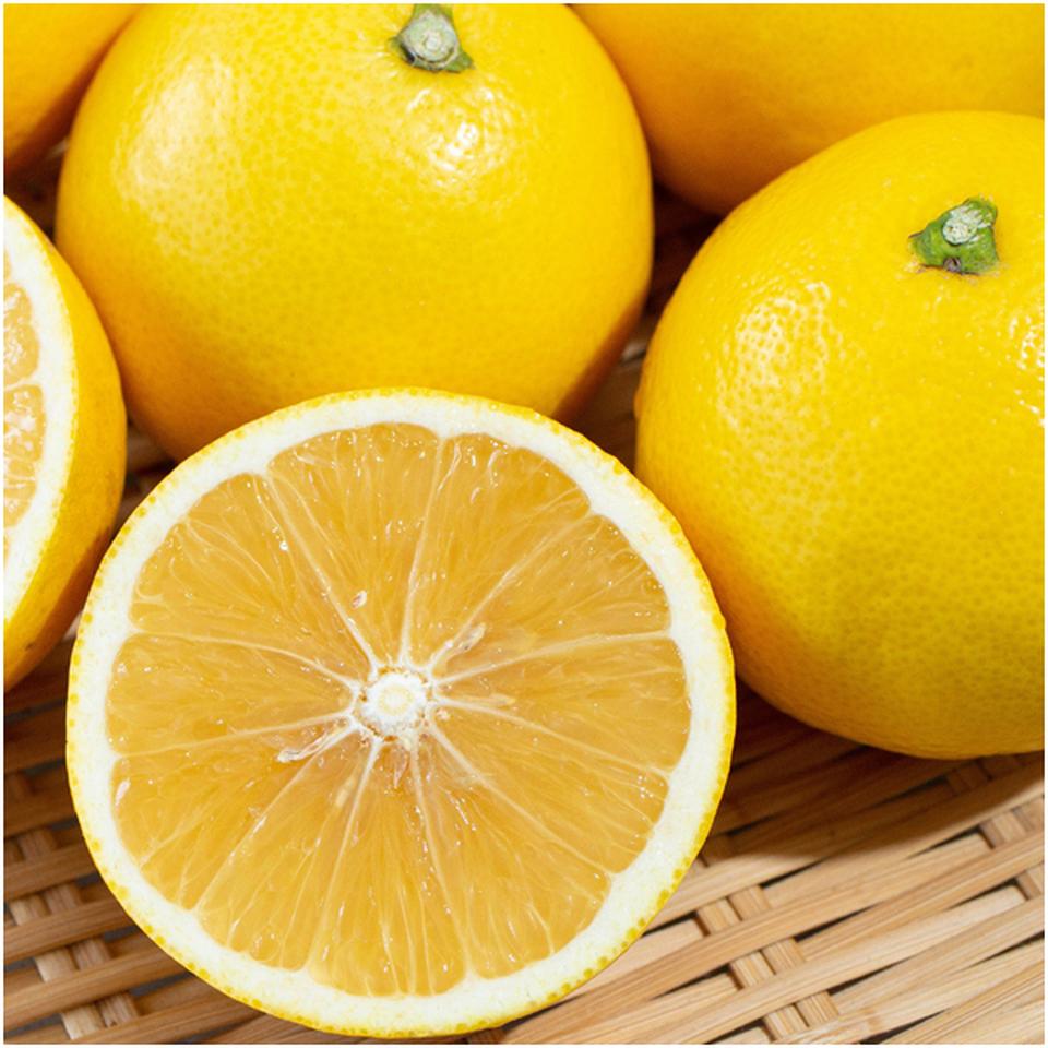 【父の日早得】高知県産小夏　５ｋｇ 商品サムネイル