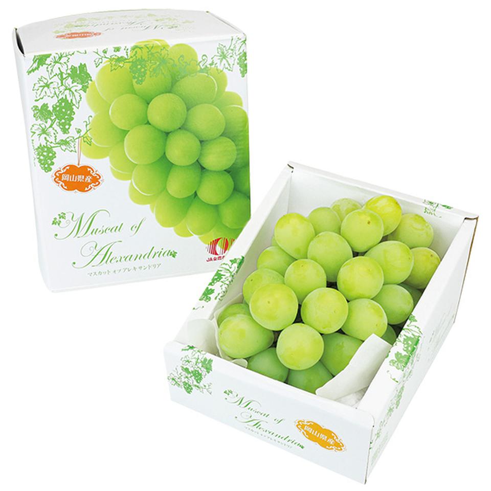 【夏の贈りもの】岡山県産　マスカット・オブ・アレキサンドリア 商品サムネイル
