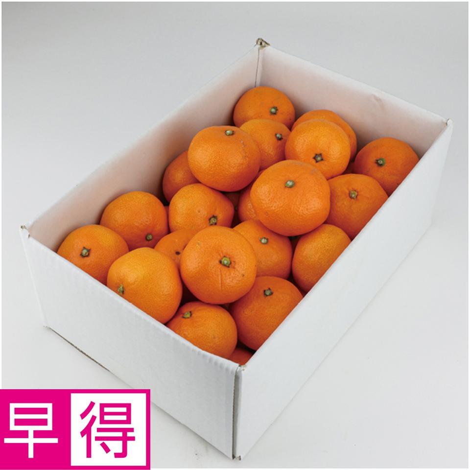 【母の日早得】愛媛県産カラマンダリン　３ｋｇ 商品サムネイル