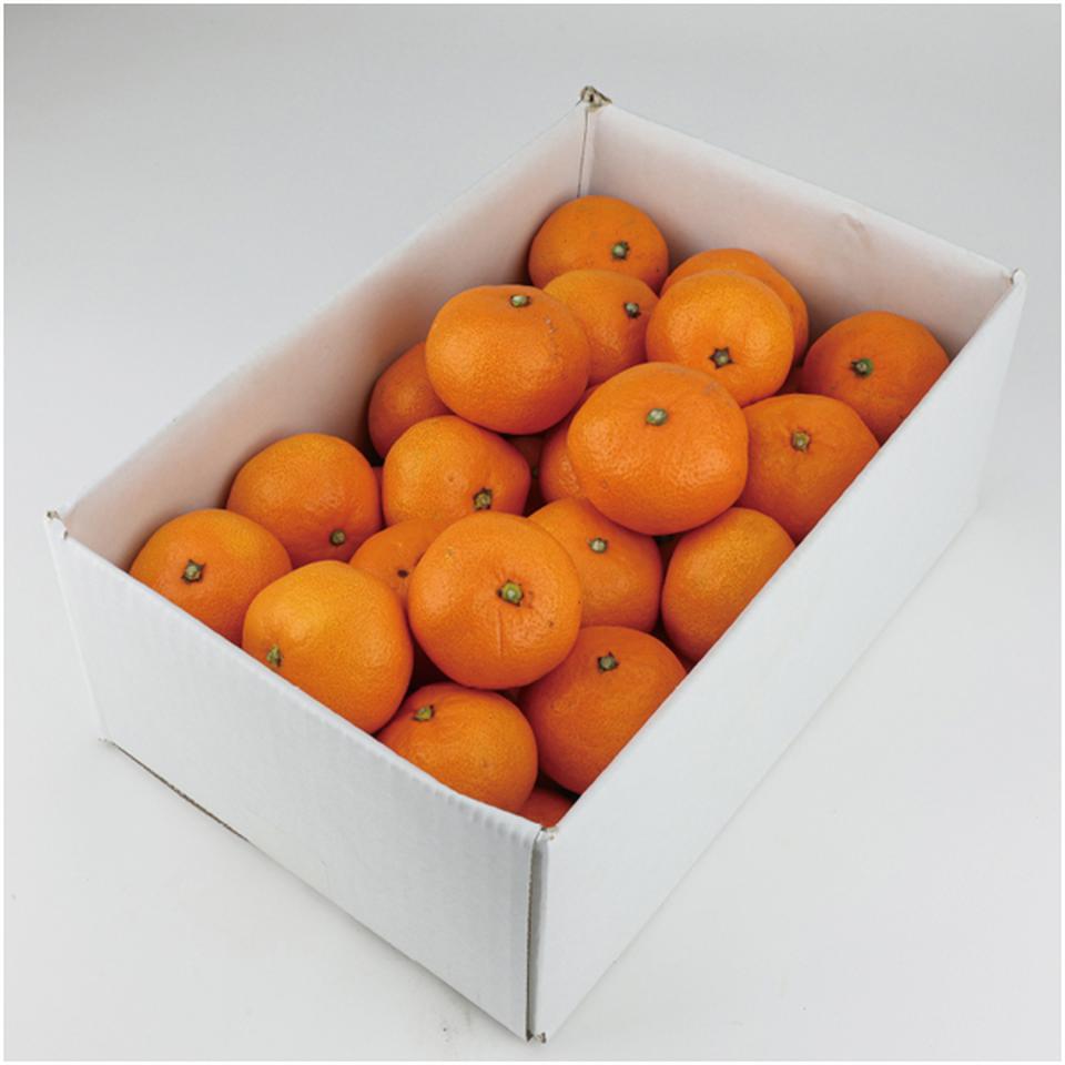 【母の日早得】愛媛県産カラマンダリン　３ｋｇ 商品サムネイル