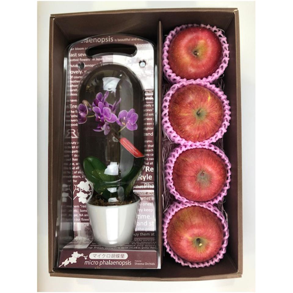 【母の日早得】マイクロ胡蝶蘭と青森県産ふじセット 商品サムネイル