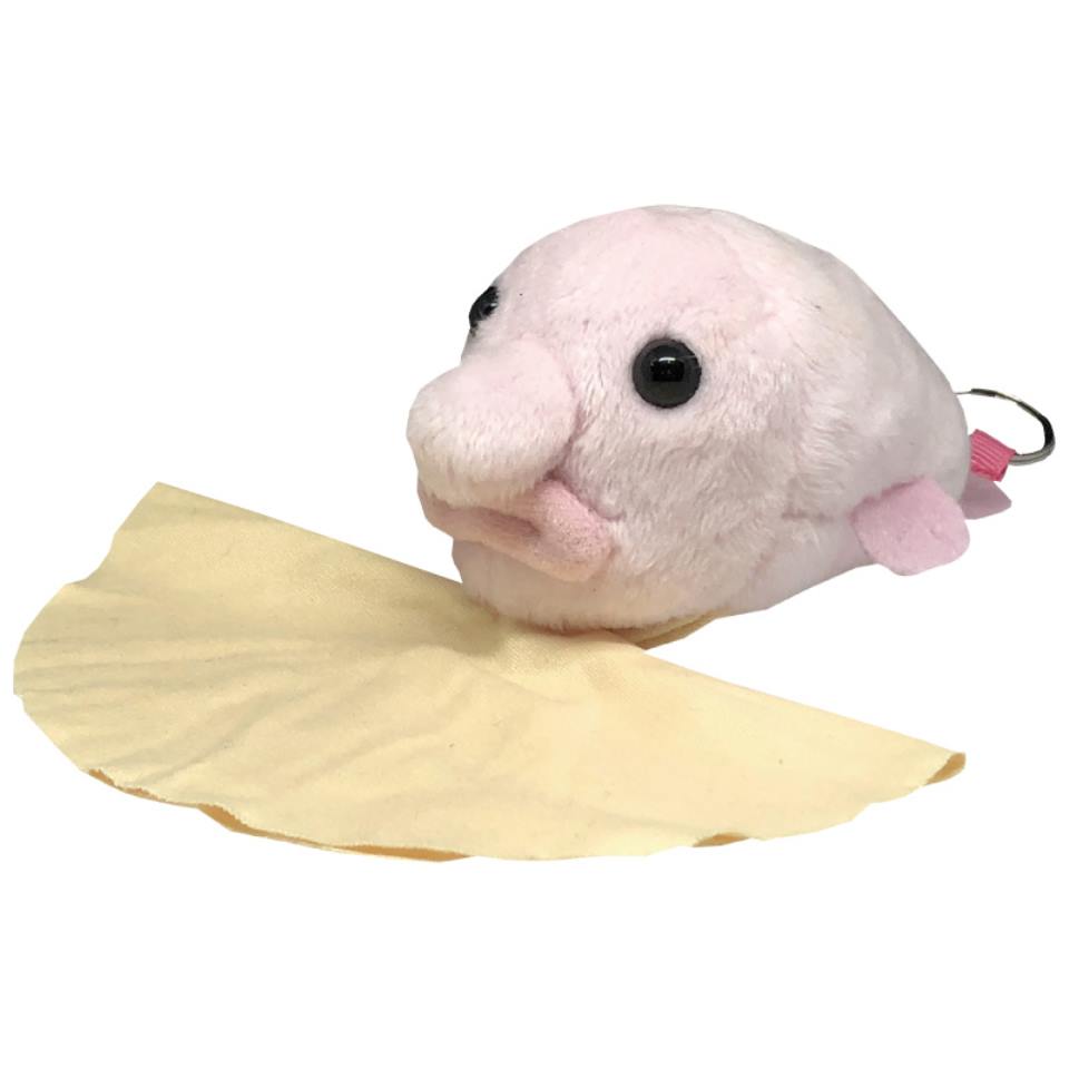 【静岡浜松】 【栄商会】 深海魚クリーナー (ニュウドウカジカ) 商品画像(1)