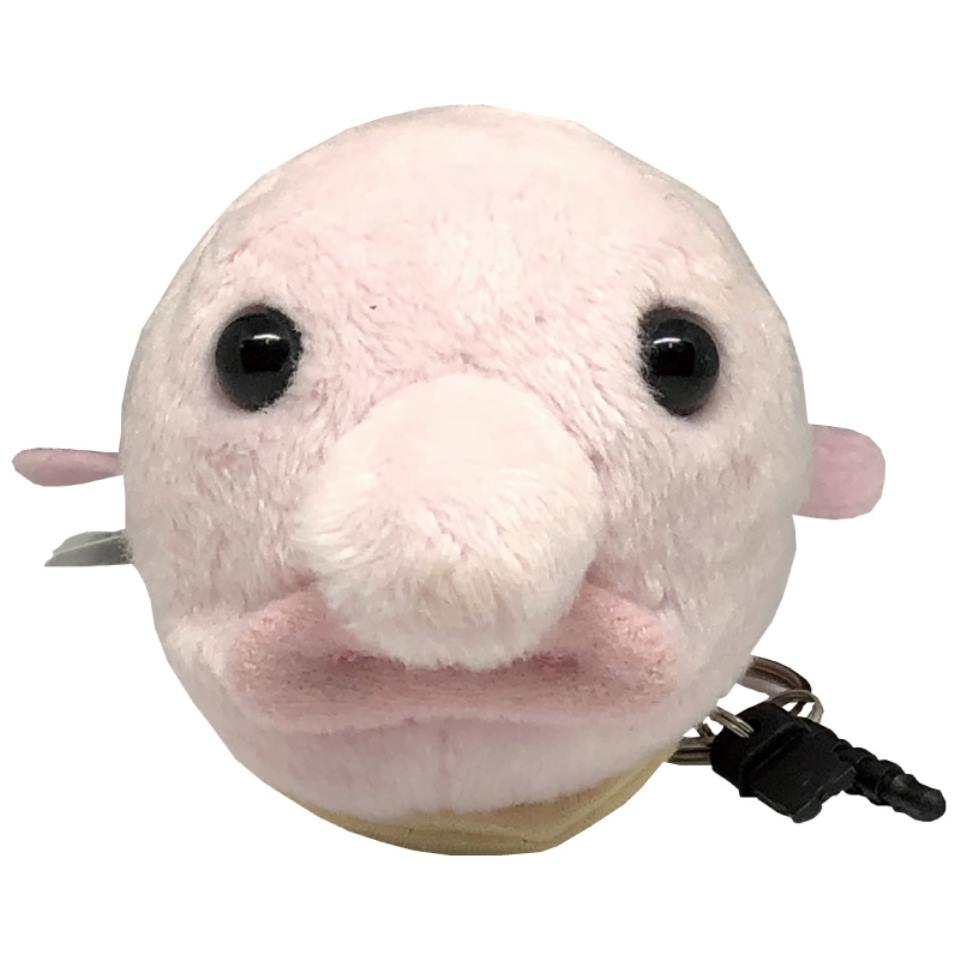 【静岡浜松】 【栄商会】 深海魚クリーナー (ニュウドウカジカ) 商品画像(2)