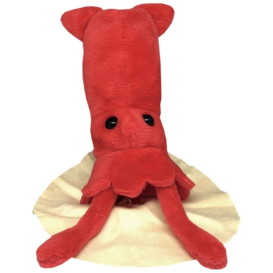 【静岡浜松】 【栄商会】 深海魚クリーナー (ダイオウイカ) 商品画像(1)