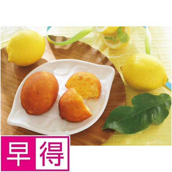 【夏ギフト早得】アトリエ アニバーサリー　東京レモンパウンド 商品サムネイル