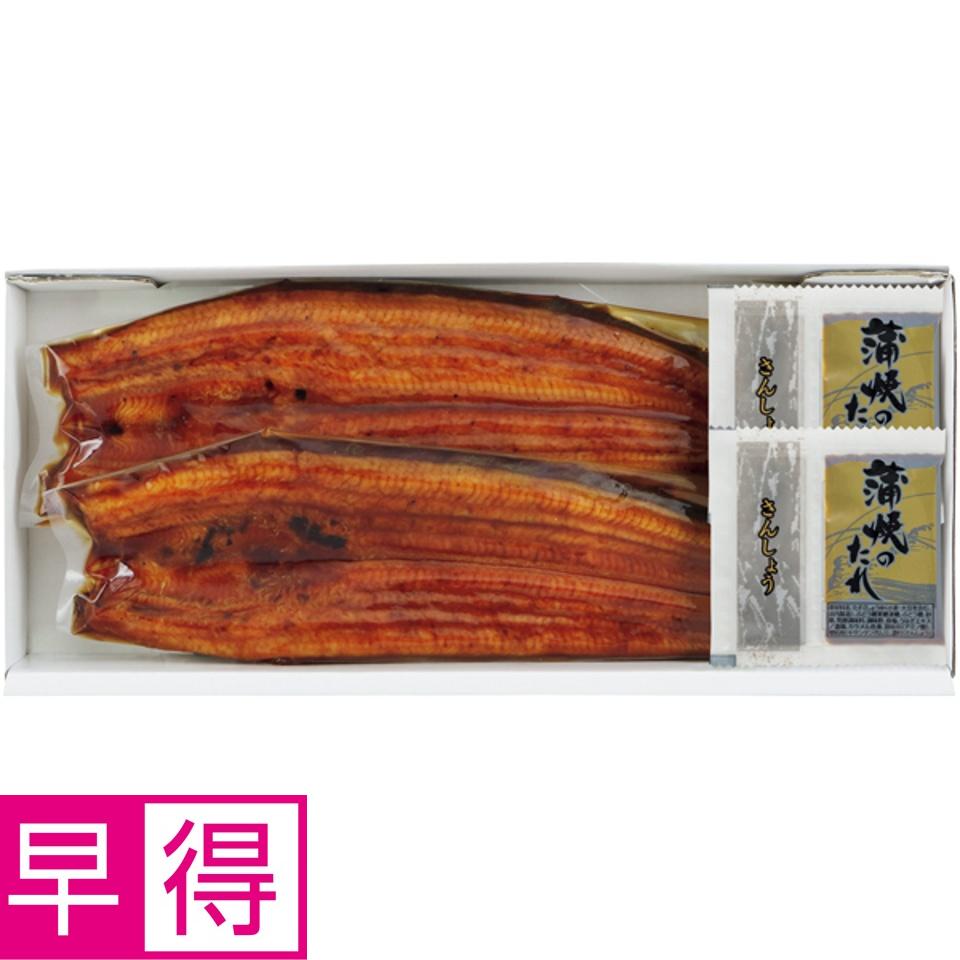 【夏の贈りもの早得】静岡県浜名湖産 うなぎ蒲焼２尾 商品サムネイル