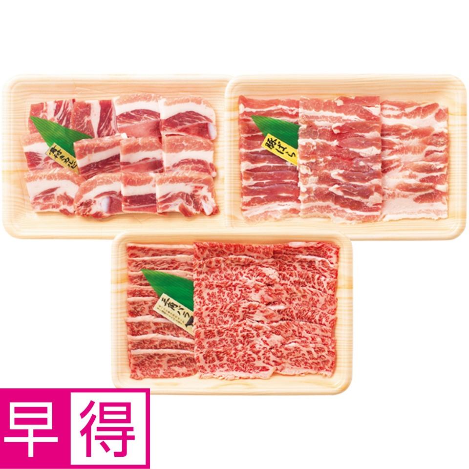 【夏の贈りもの早得】トップバリュグリーンアイナチュラル ナチュラルポーク＆タスマニアビーフ 焼肉食べくらべセット 商品サムネイル