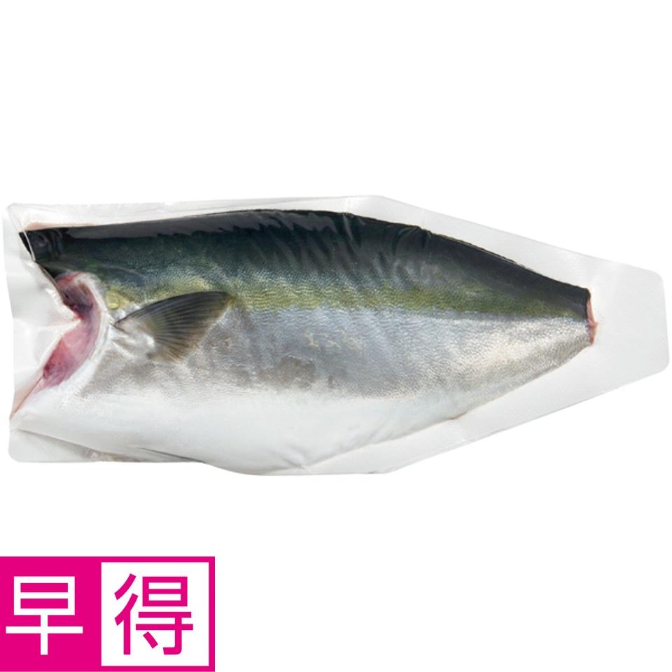 【夏の贈りもの早得】トップバリュ 鹿児島県産活〆はまち（養殖）フィーレ１枚入り 商品サムネイル