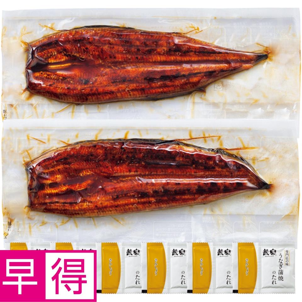【夏の贈りもの早得】鰻楽 うなぎ蒲焼特々大２尾（宮崎県産原料） 商品サムネイル
