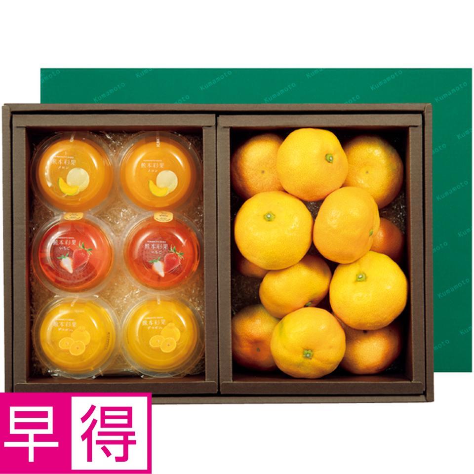 【冬の贈りもの早得】熊本県産 熊本みかん＆熊本彩果ゼリー 商品サムネイル