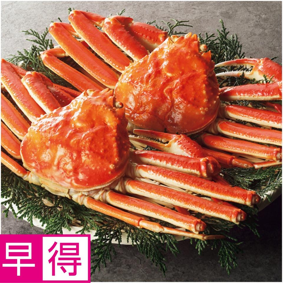 【夏の贈りもの早得】エスケイフーズ ボイルずわいがに姿（ご自宅用）２尾 商品サムネイル