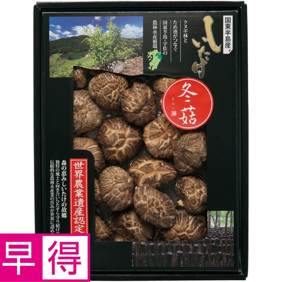 【冬の贈りもの早得】大分乾物 大分県国東半島産　どんこ椎茸 型番：MDH-40 商品サムネイル