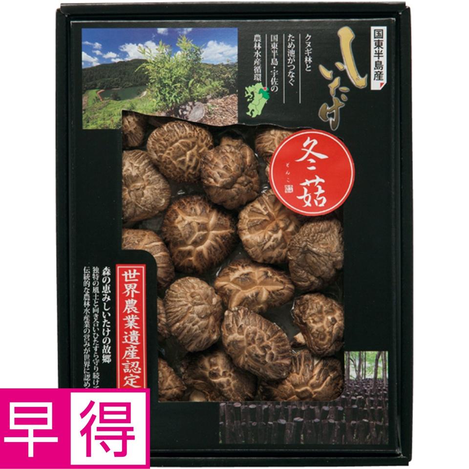 【夏の贈りもの早得】大分乾物 大分県国東半島産 どんこ椎茸 商品サムネイル
