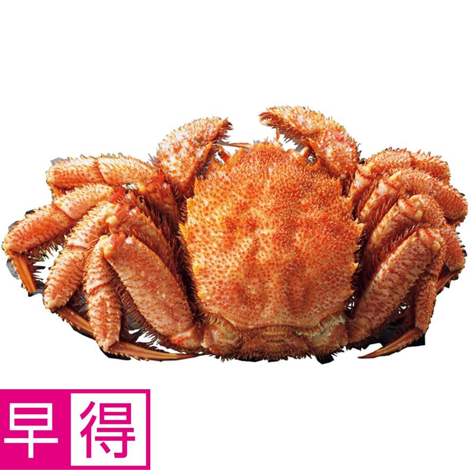 【冬の贈りもの早得】北海道オホーツク海産 ボイル毛がに姿１尾（大） 商品サムネイル
