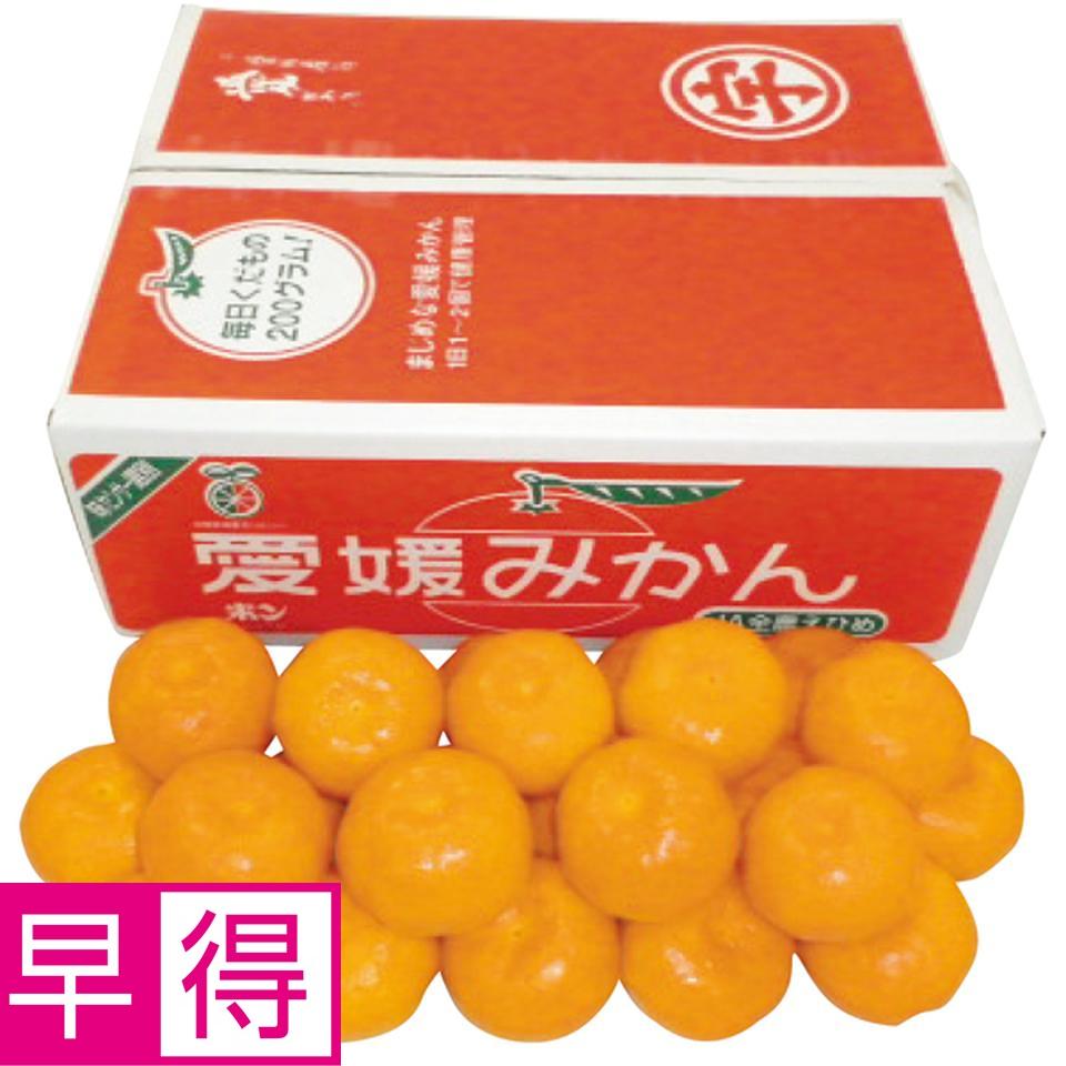 【冬の贈りもの早得】愛媛県産（ＪＡえひめ南玉津選果場） 玉津みかん 商品サムネイル