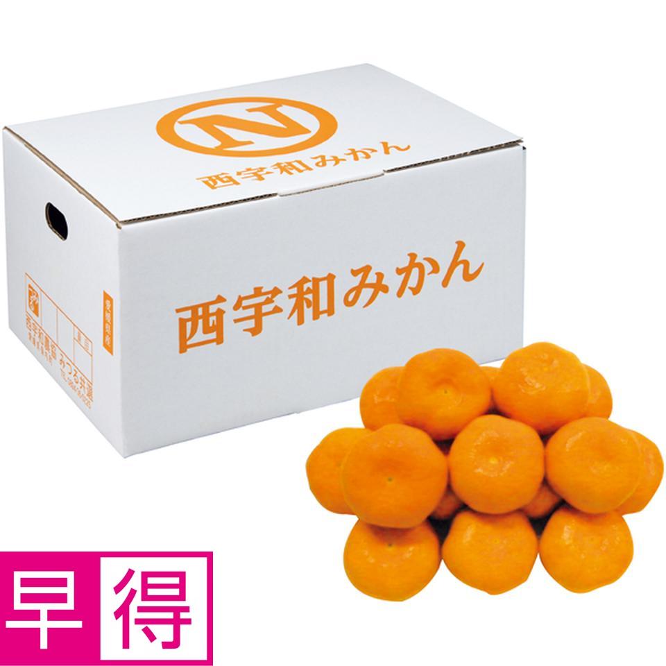 【冬の贈りもの早得】愛媛県産（ＪＡ西宇和みつる共選） みつるみかん　白箱　優品、Ｍ又はＬサイズ、計３．９ｋｇ以上 商品サムネイル