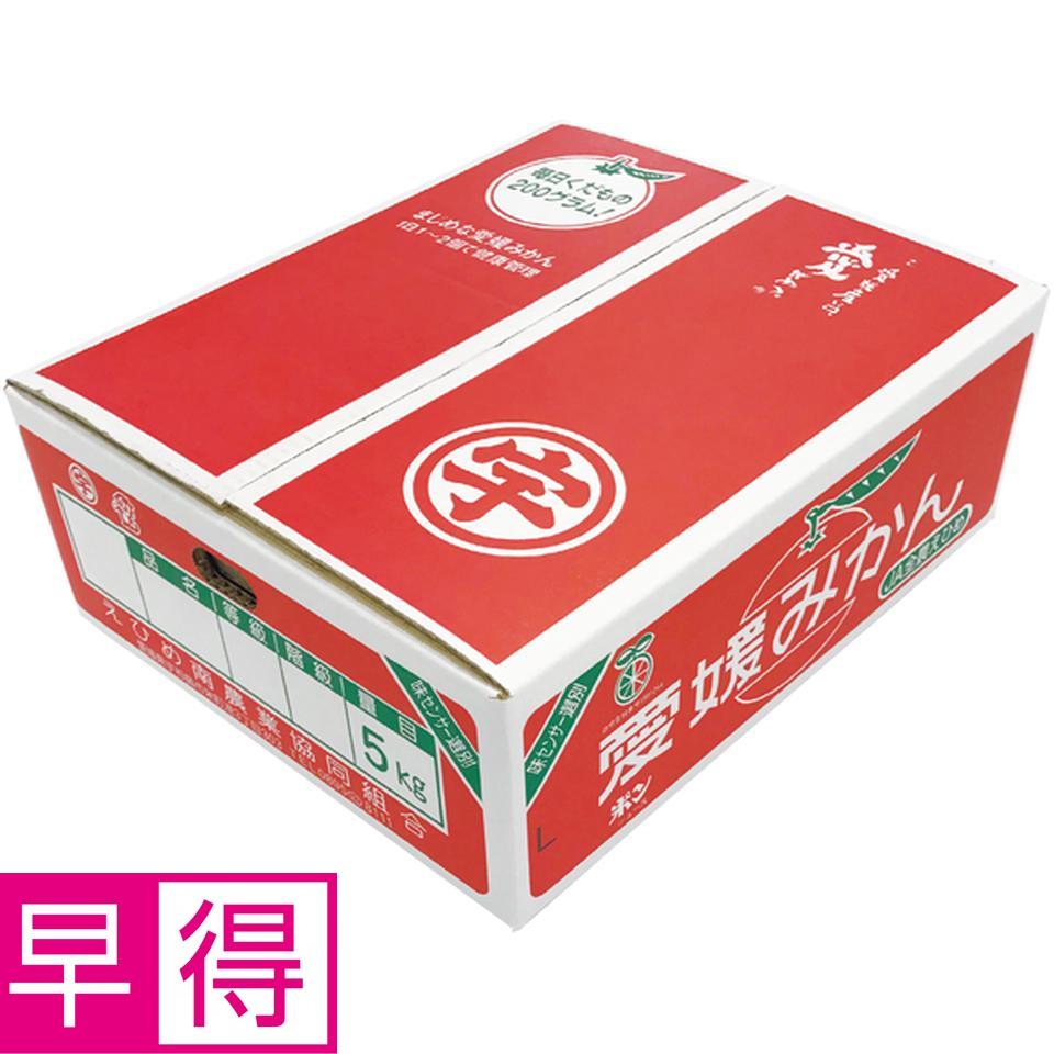 【冬の贈りもの早得】愛媛県産（ＪＡえひめ南玉津選果場） 玉津みかん　ＳＳ　小粒 商品サムネイル