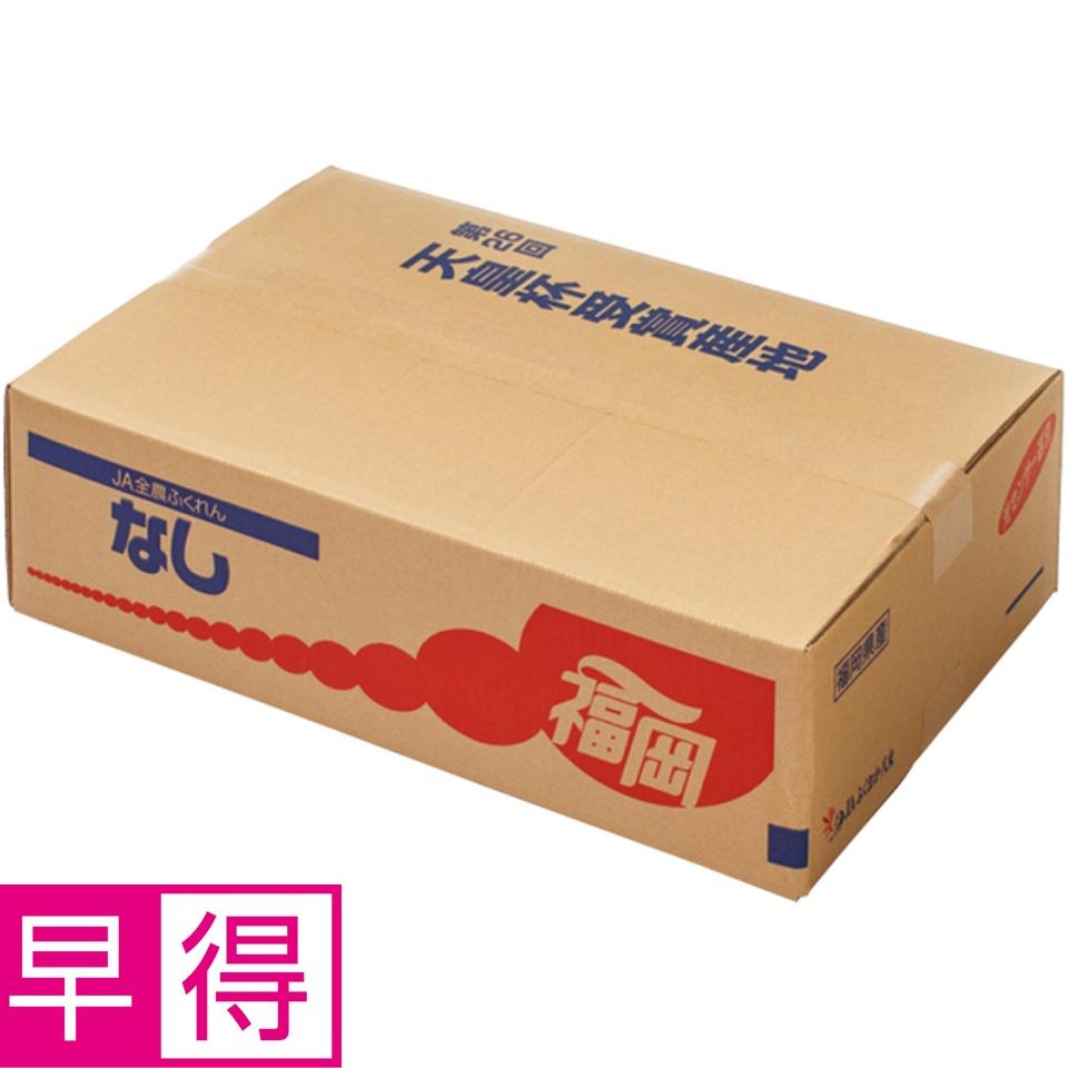 【夏の贈りもの早得】福岡県産（ＪＡふくおか八女） 幸水梨 商品サムネイル
