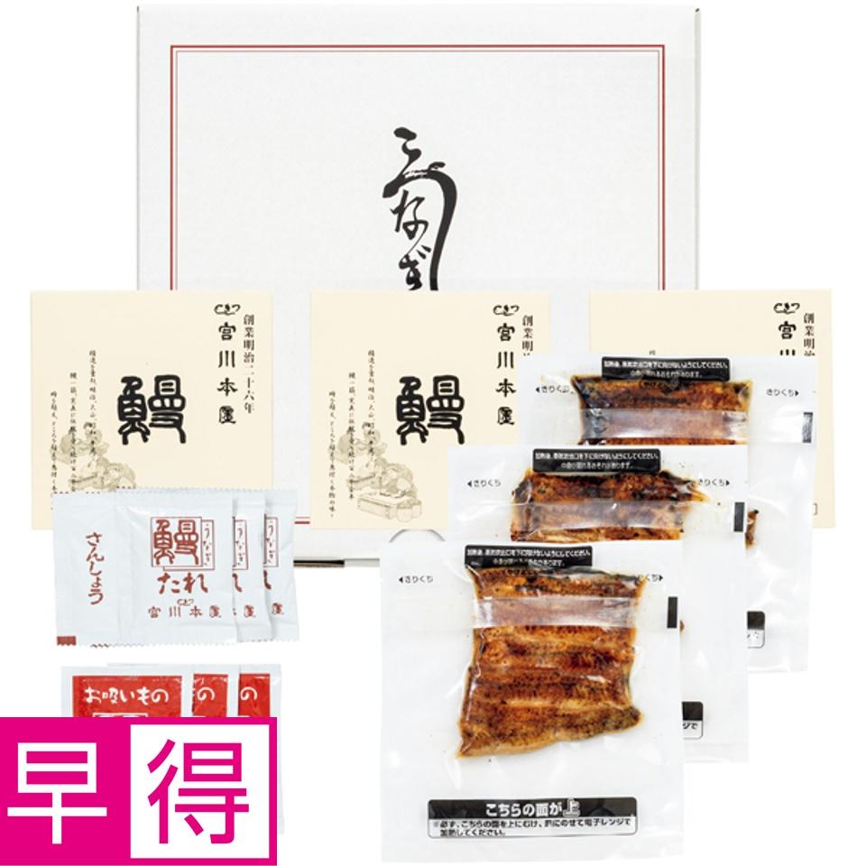 【夏の贈りもの早得】つきじ宮川本廛 炭火うなぎ蒲焼 切身３枚セット 商品サムネイル