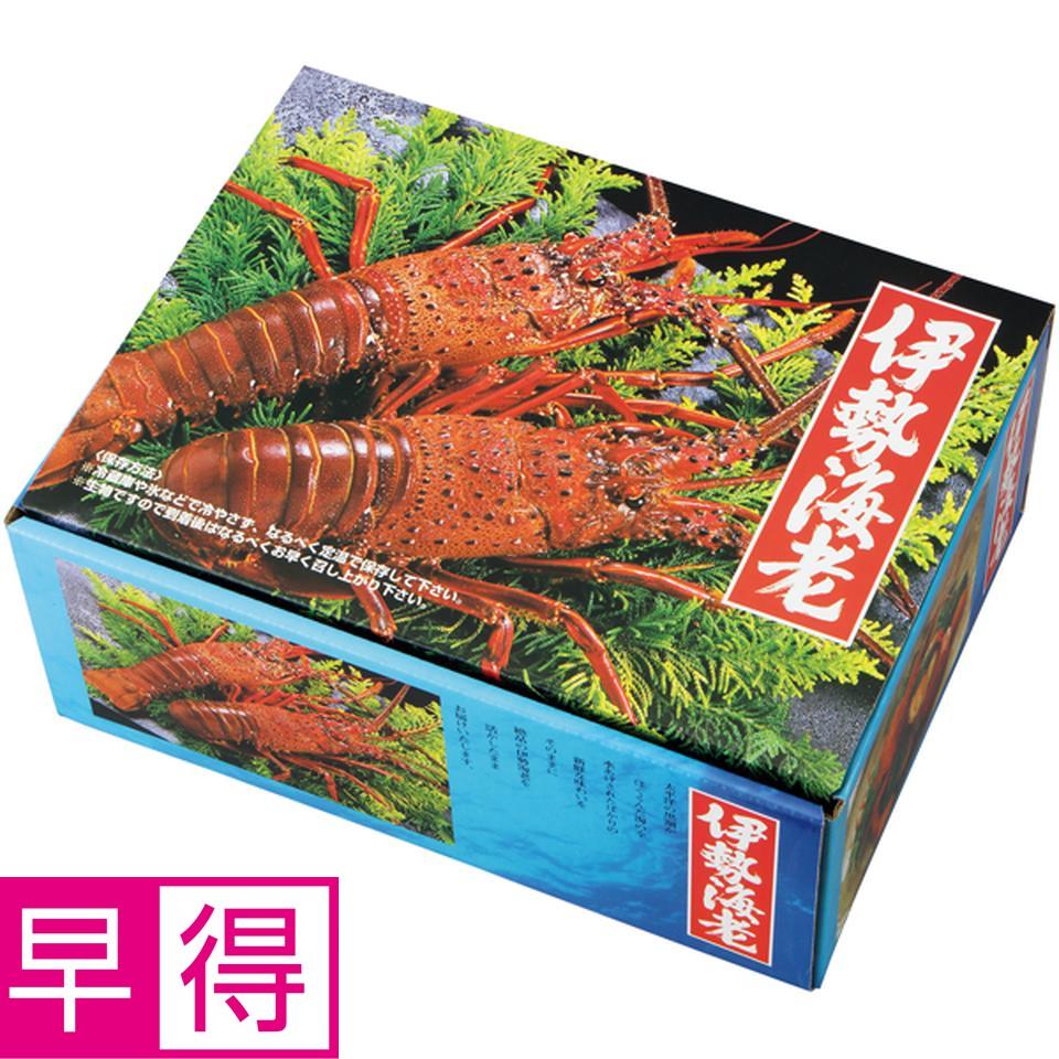 【冬の贈りもの早得】ヤマソ水産 三重県志摩浜島産　活伊勢海老２尾入り　７００ｇ以上 商品サムネイル