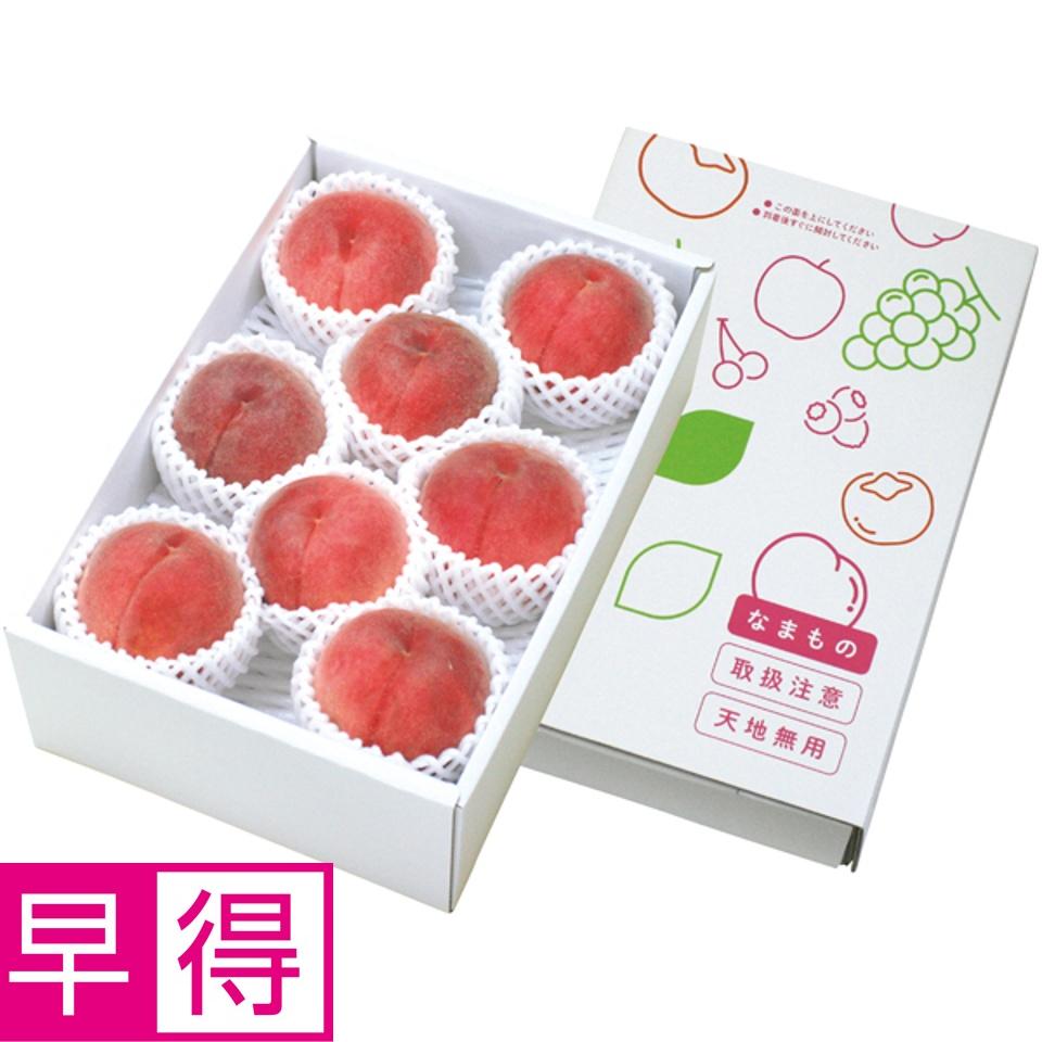 【夏の贈りもの早得】福島県産（飯坂） 若手生産者、木村さんたちの自慢の白桃 商品サムネイル