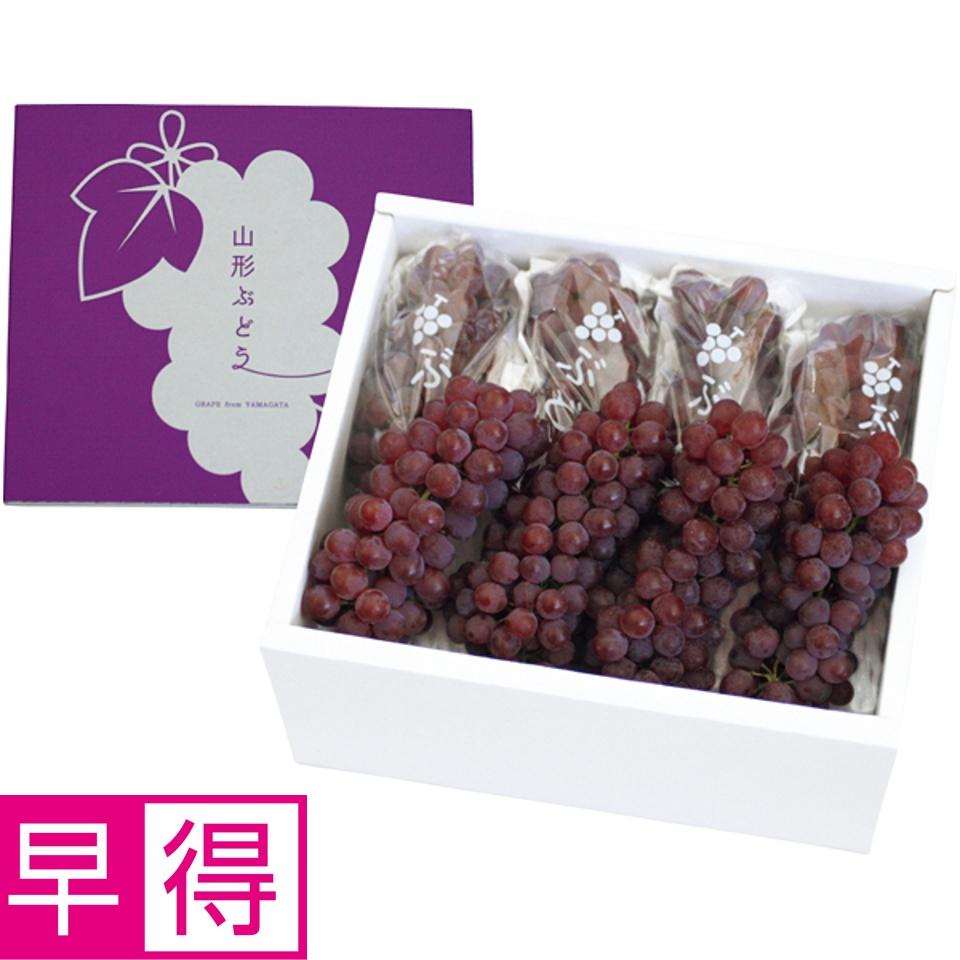 【夏の贈りもの早得】山形県産 デラウェア 商品サムネイル