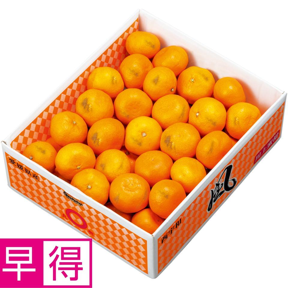 【冬の贈りもの早得】愛媛県産（ＪＡにしうわ川上共選） 風みかん（自宅用） 商品サムネイル