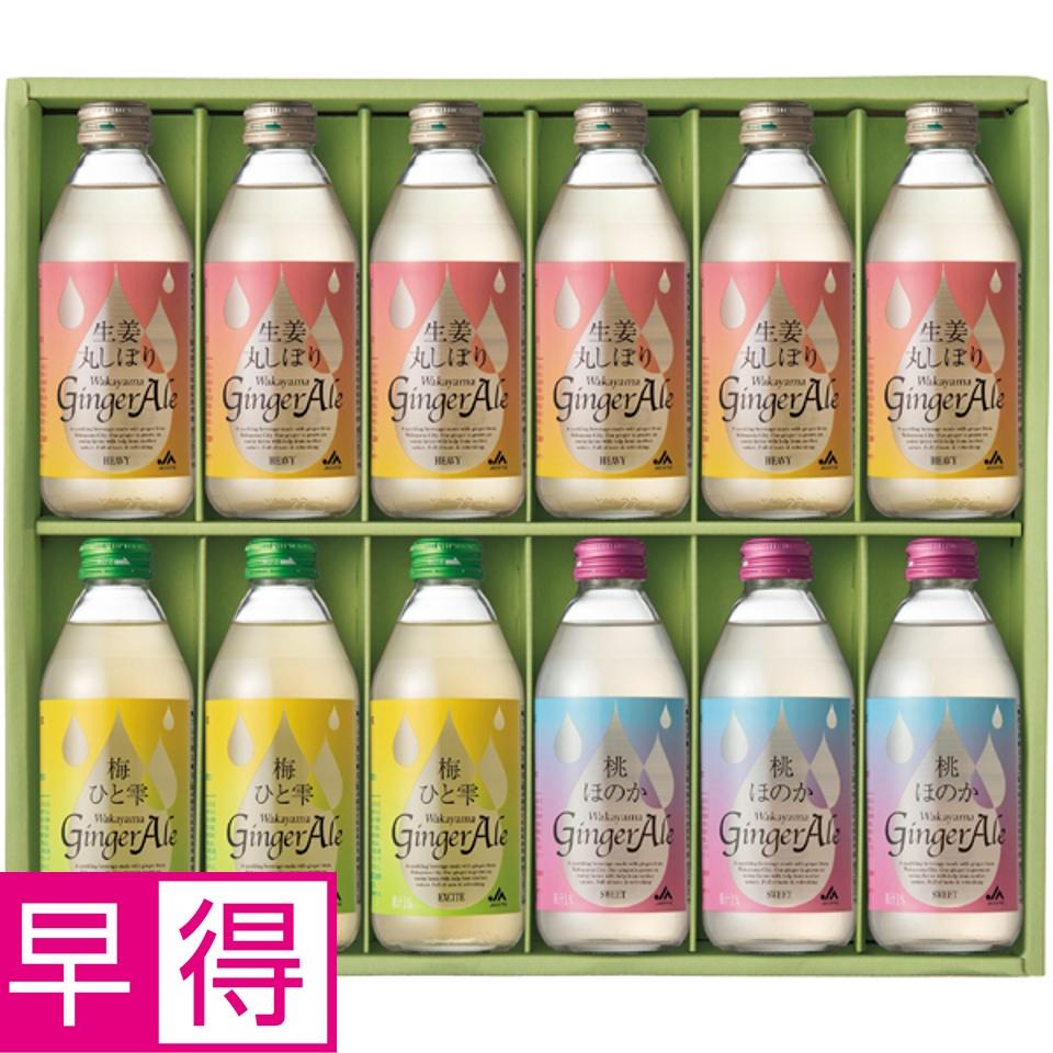 【夏の贈りもの早得】和歌山県農業協同組合 わかやまジンジャーエール アソートギフト 商品サムネイル