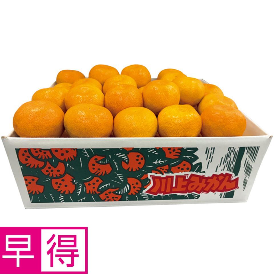 【冬の贈りもの早得】愛媛県産（ＪＡにしうわ川上共選） 川上みかん（大粒・自宅用） 商品サムネイル