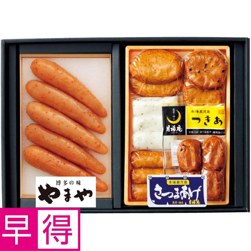 【夏の贈りもの早得】やまや 無着色辛子明太子、さつま揚げセット 商品サムネイル