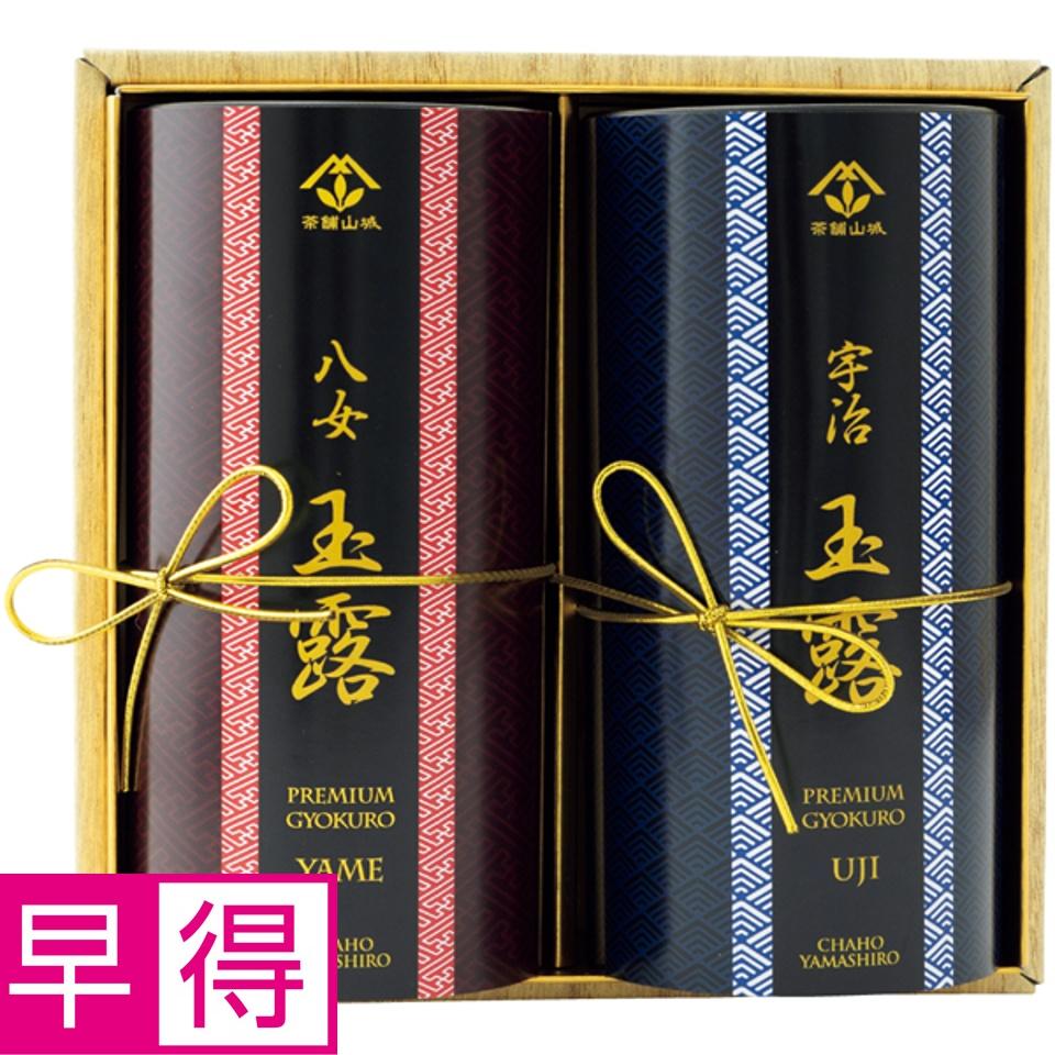 【夏の贈りもの早得】山城物産 玉露ティーバッグ飲みくらべセット 商品サムネイル