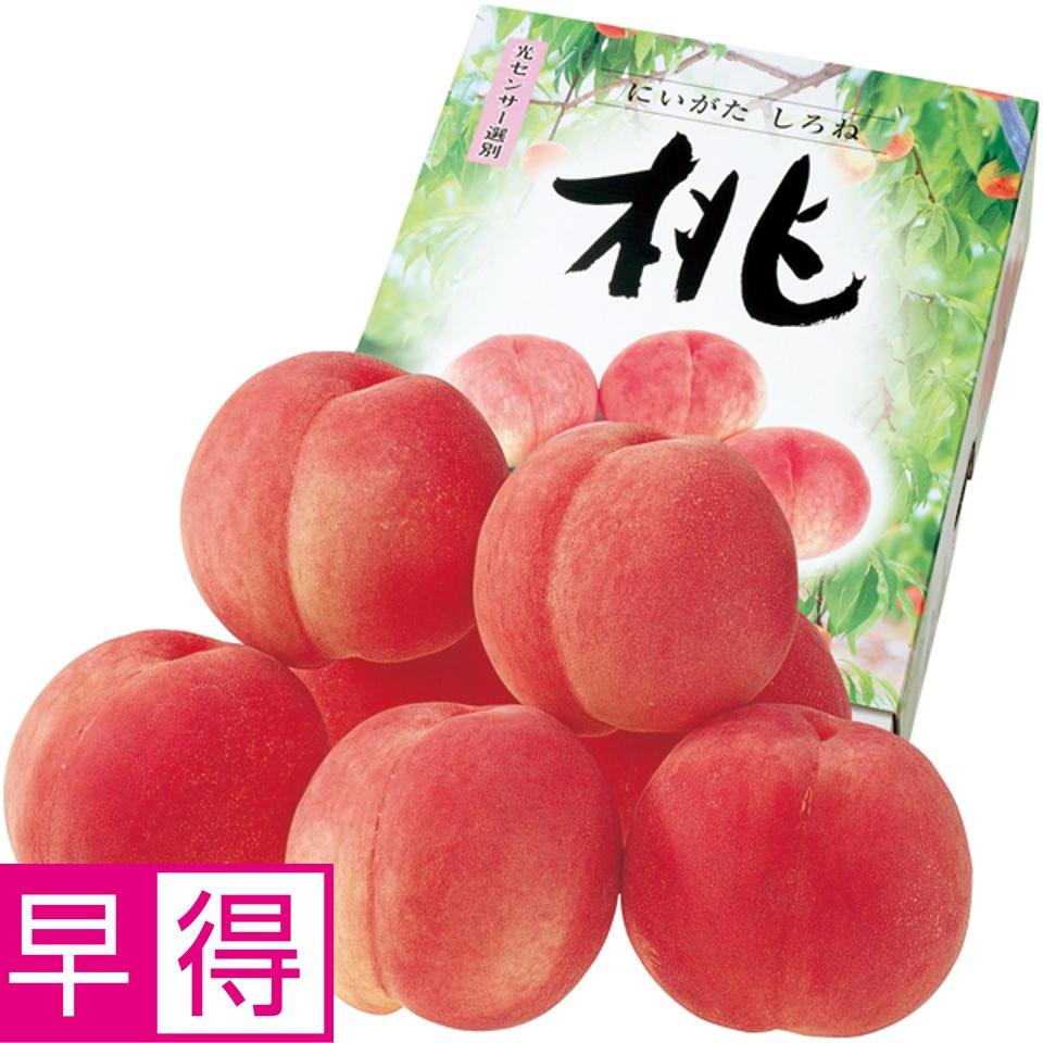【夏の贈りもの早得】新潟県産（ＪＡ新潟かがやき） フルーツフラワーしろねのもも 商品サムネイル