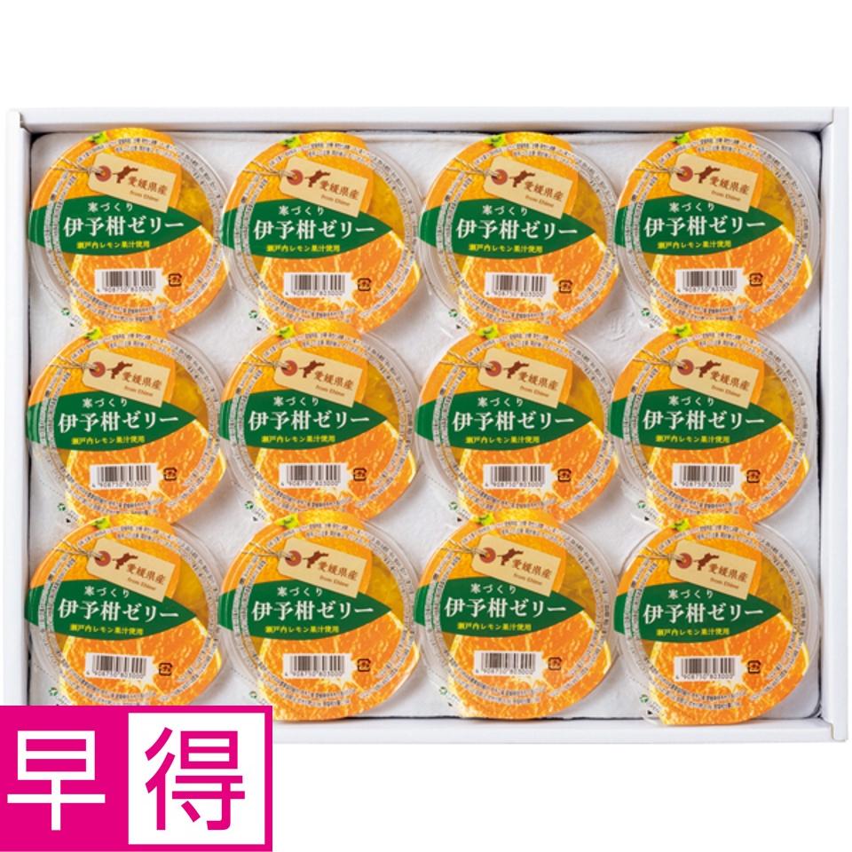 【夏の贈りもの早得】えひめ中央農協 寒づくり伊予柑ゼリー 商品サムネイル