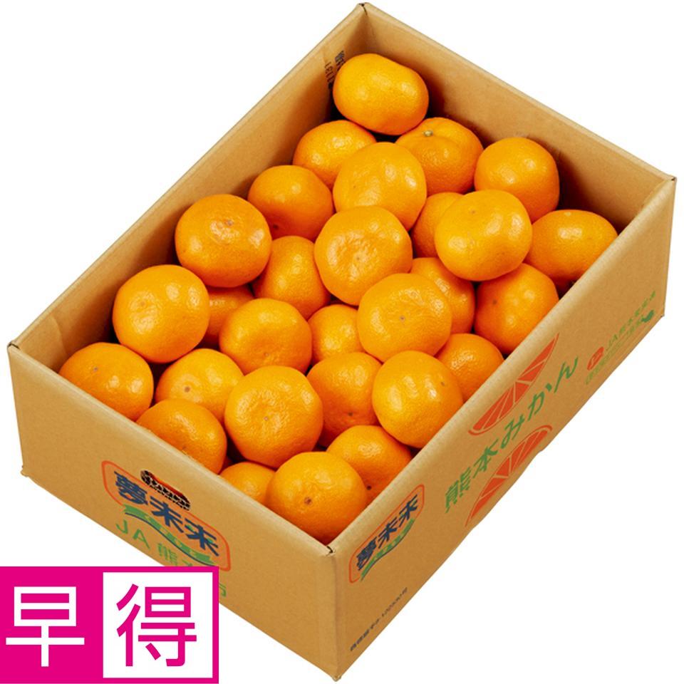 【冬の贈りもの早得】熊本県産 夢未来みかん　Ｓ又はＭ又はＬサイズ、計４ｋｇ以上 商品サムネイル