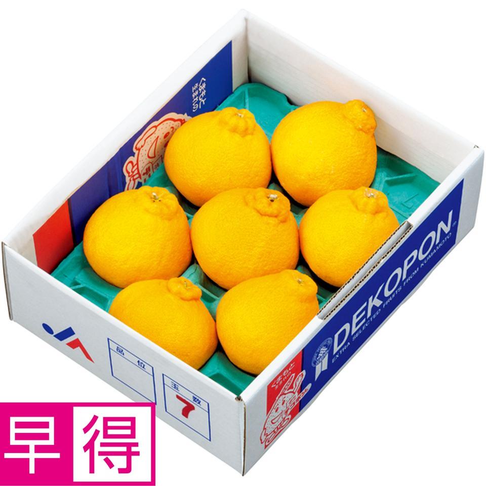 【冬の贈りもの早得】熊本県産 デコポン　５～７個、計２ｋｇ以上、手詰め 商品サムネイル