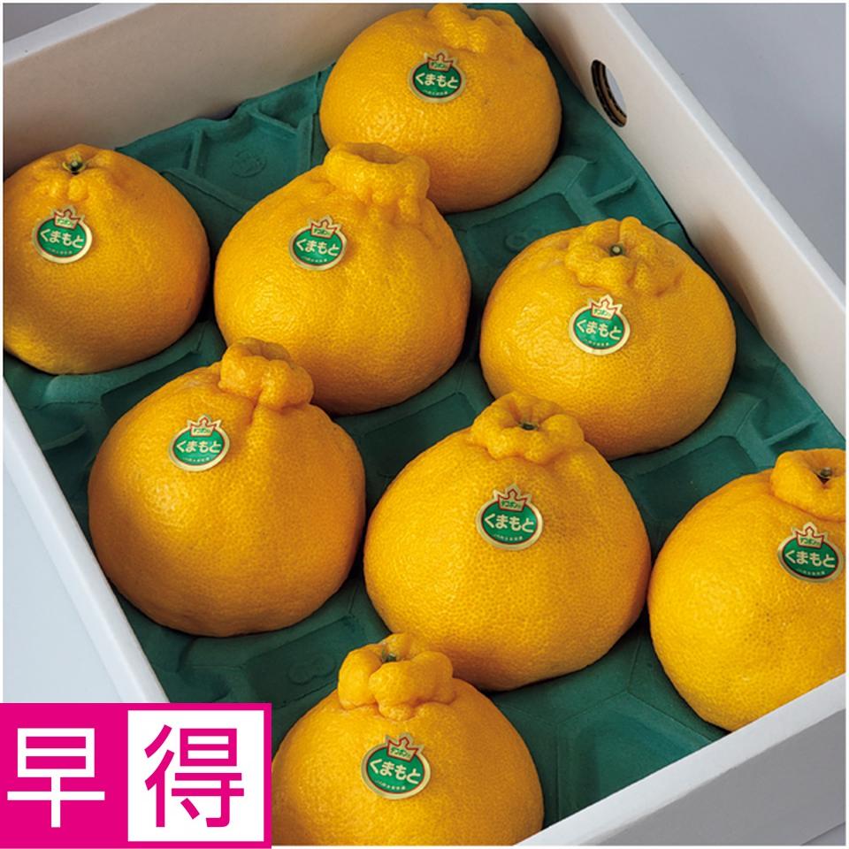 【冬の贈りもの早得】熊本県産 デコポン　８～１２個、計３ｋｇ以上、手詰め 商品サムネイル